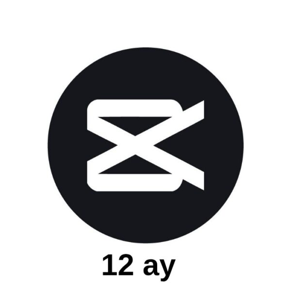 Capcut Pro 12 aylıq